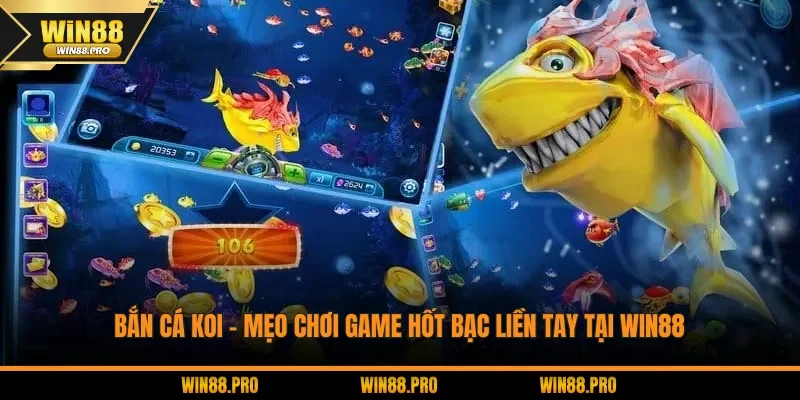 Bắn cá Koi