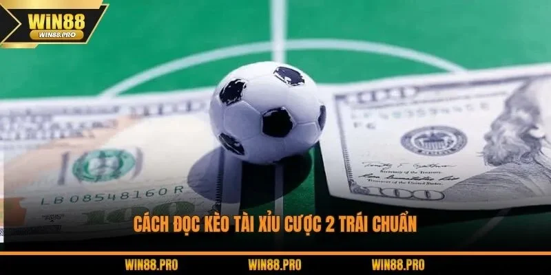 Cách Cách đọc kèo tài xỉu cược 2 trái chuẩnđọc kèo tài xỉu cược 2 trái chuẩn