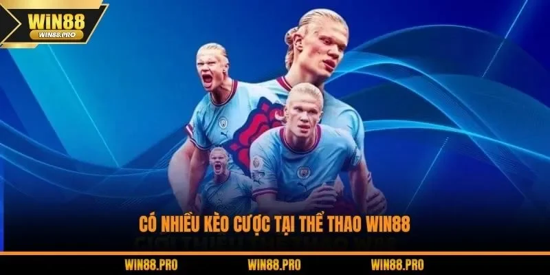 Có nhiều kèo cược tại thể thao WIN88