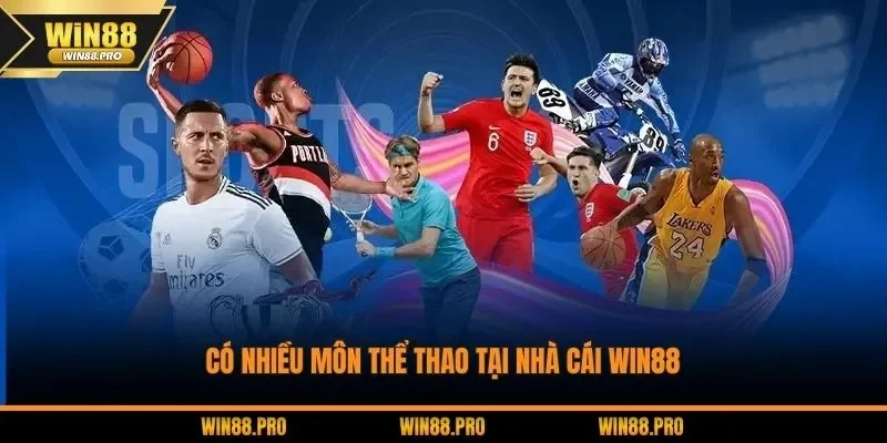Có nhiều môn thể thao tại nhà cái WIN88