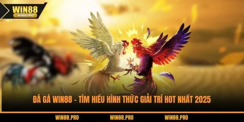 Đá gà WIN88