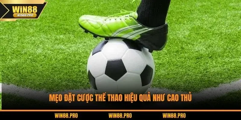 Mẹo đặt cược thể thao hiệu quả như cao thủ