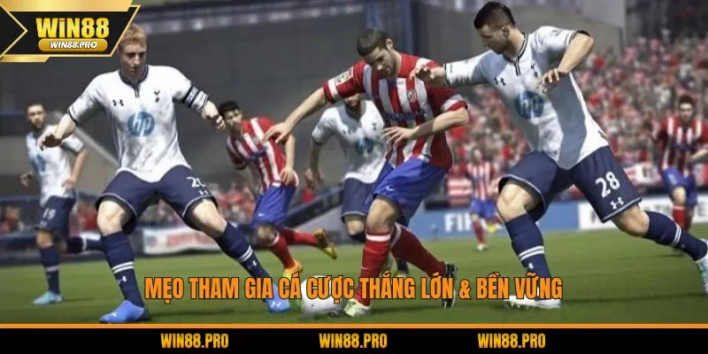 Mẹo tham gia cá cược thắng lớn & bền vững