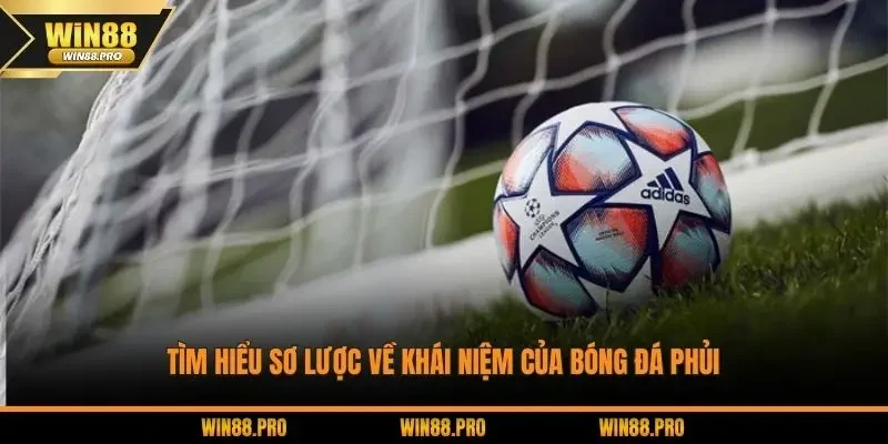 Tìm hiểu sơ lược về khái niệm của bóng đá phủi