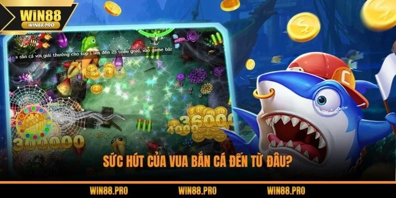 Điểm mạnh nổi bật của vua săn cá