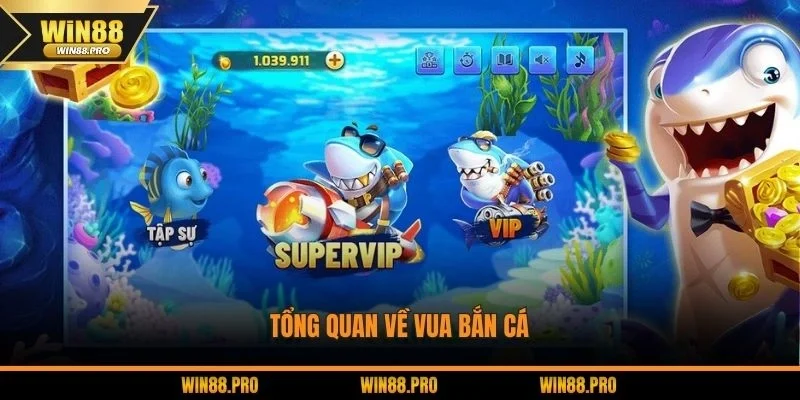 Khái quát sơ lược về vua săn cá